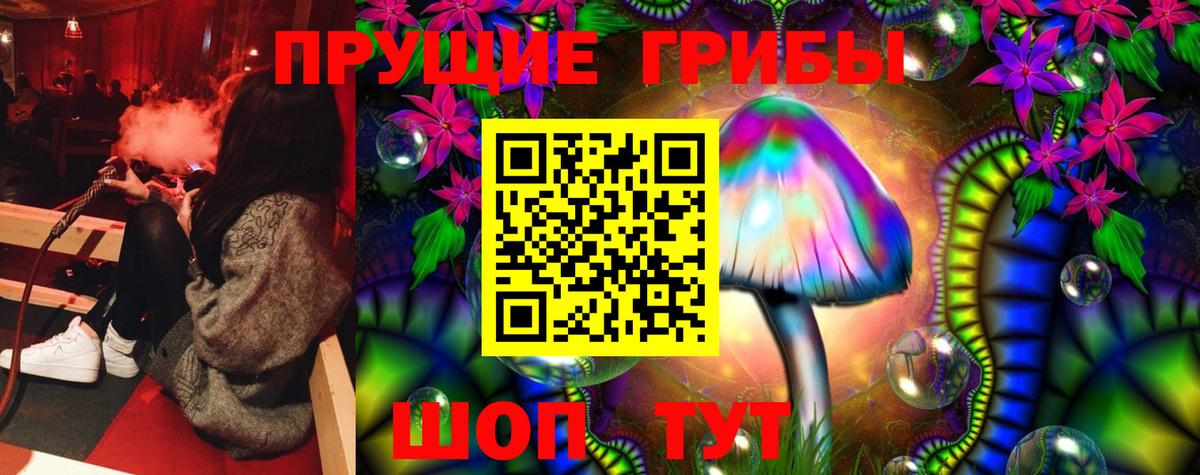Галлюциногенные грибы Psilocybe Звенигород